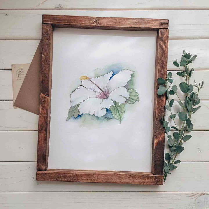 Hibiscus for wholesale by Optical Lift, LLC