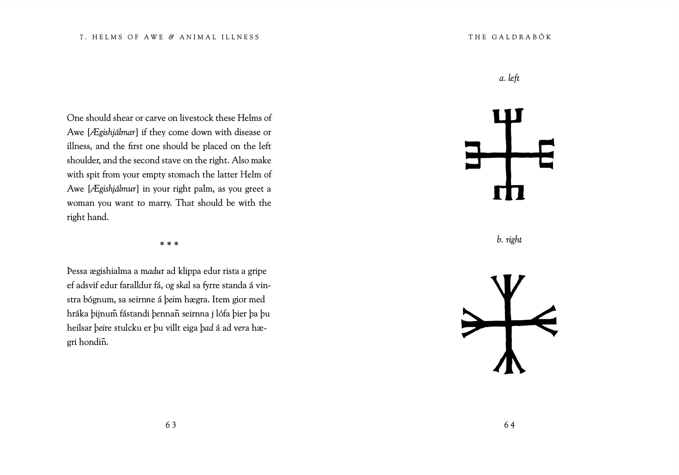 Hyldyr - Wholesale Religion Book - The Galdrabók: Forbidden Icelandic Folk Magic9