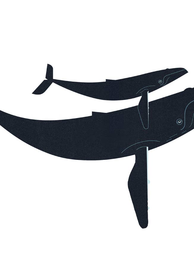 Adesivo de baleia e bezerro por atacado de Artisans & agency