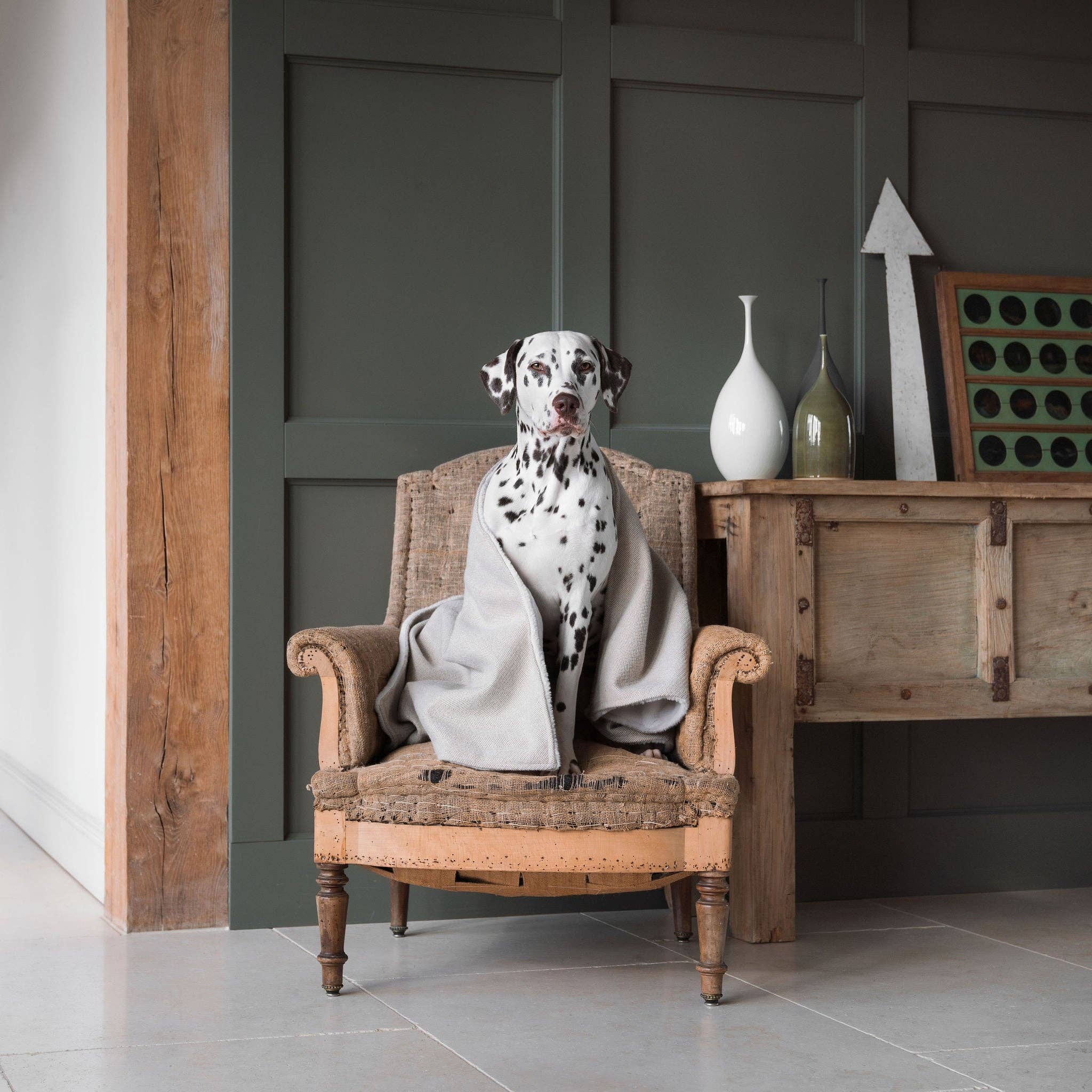 Lords and Labradors - Venta al por mayor Manta - Perros - Manta de tweed en espiga para perros y cachorros20