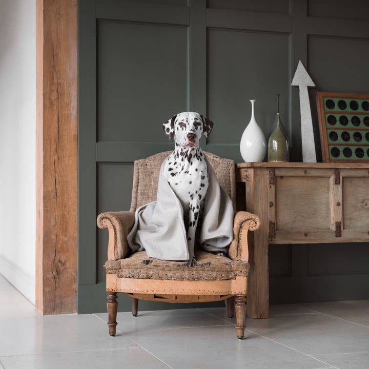 Lords and Labradors - Wholesale Pet blanket – Dog - Dog & Puppy Blanket in Herringbone Tweed20