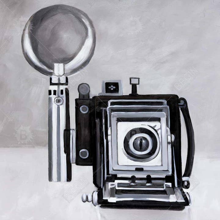 gris Appareil photo ancien | impression encadrée sur toile 24 « x 36" en vente sur Faire