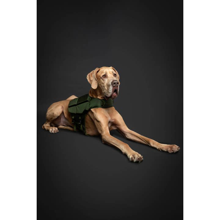 NOAH AND PAW LLC - Vente Veste – chien - Gilet de sauvetage pour chien NOAH AND PAW avec 4 mousses flottantes - Vert19