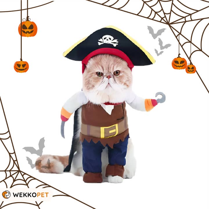 Pirater (SINGEL) Halloween MPF29 för wholesale av WEKKOPET