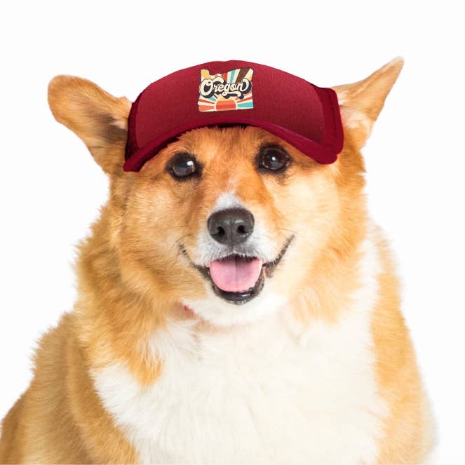 PupLid - Vendita all'ingrosso Cappello - Cani - Vintage State | Cappellino trucker per cani53