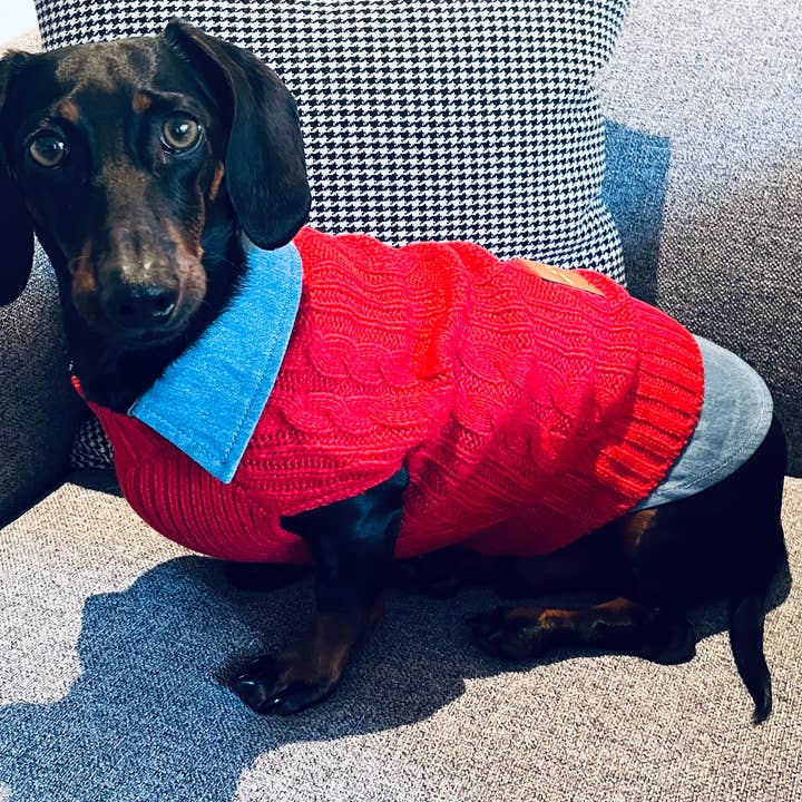 Stickad tröja för hundar för wholesale av Cooper&Cosmo