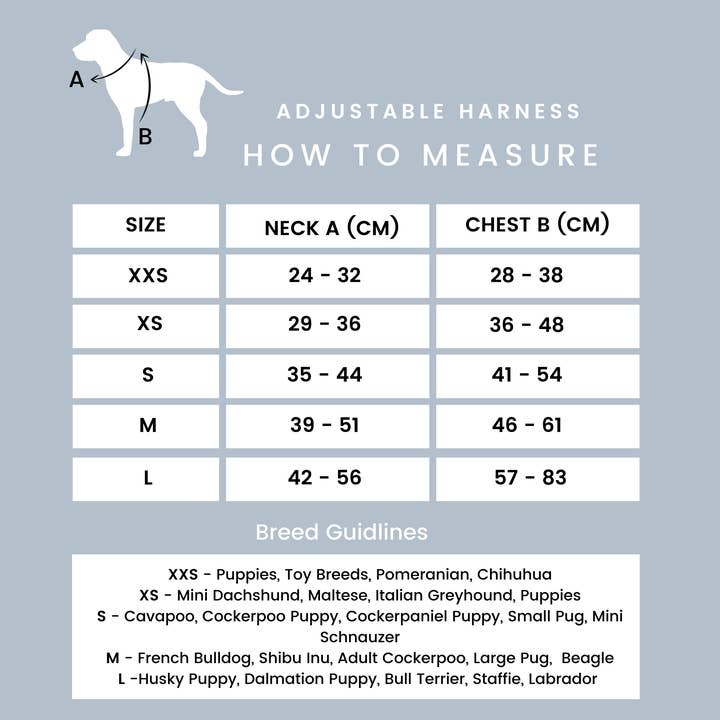 WOOF INC - Wholesale Pet Harness - Dog - Dusty Blue Adjustable Dog Harness4