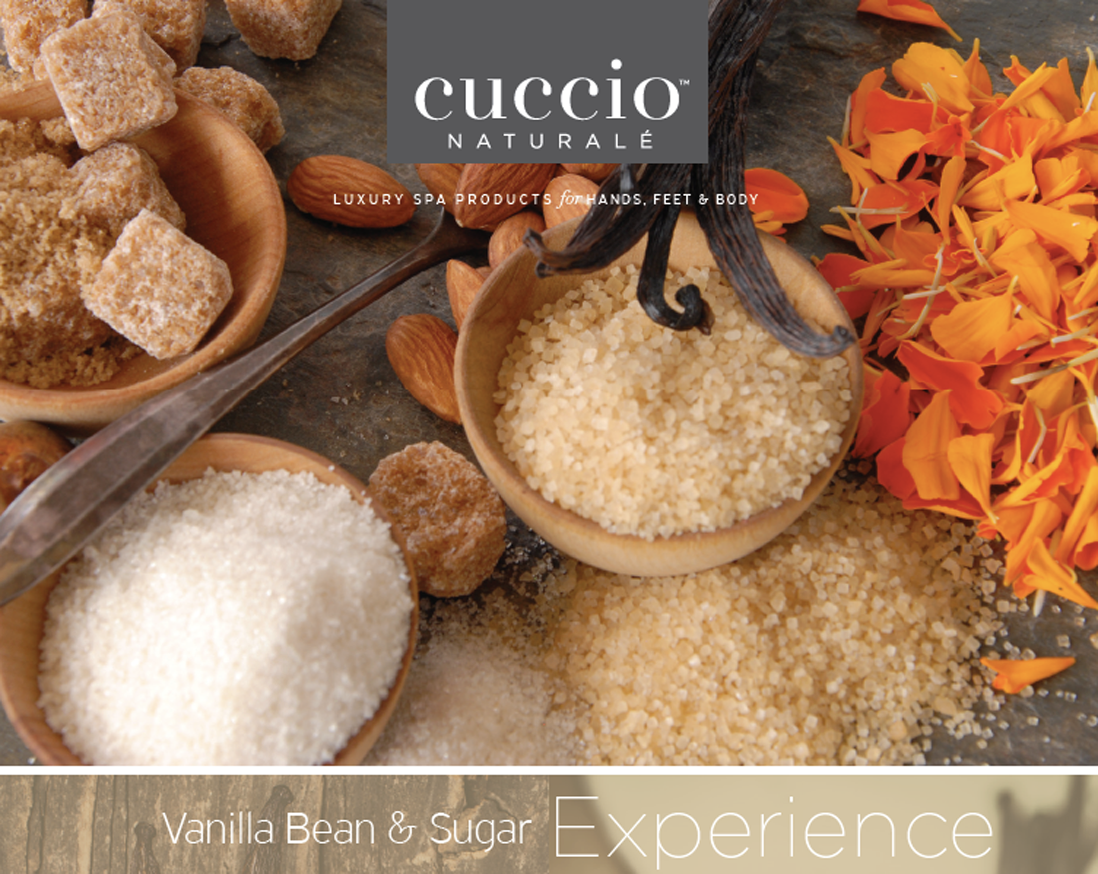 Cuccio – Großhandel Körperbutter/-balsam – Mischung aus Vanilleschoten und Zuckerbutter 4 Unzen1