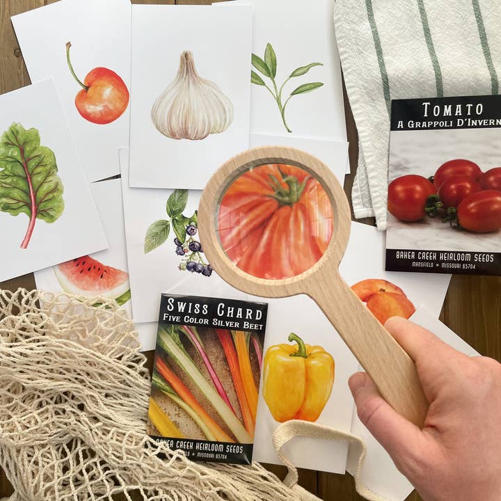 Feed & Dwell – Großhandel Lernkarten – Kind & Baby – 40 Lernkarten mit saisonalen Produkten | Garten-Lernkarten