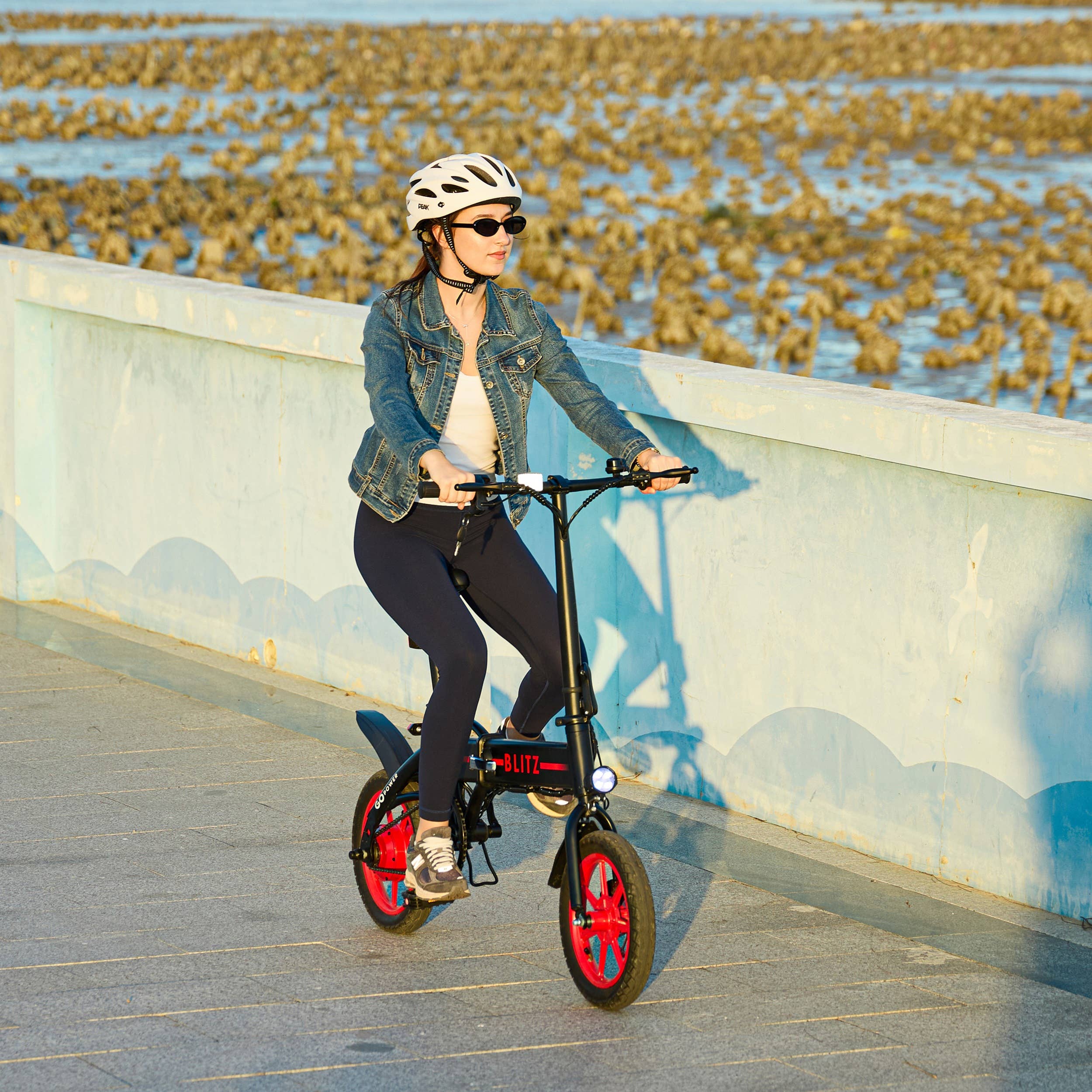 Gopowerbike – Engroshandel Cykler og scootere - Børn – GoPowerBike GoBlitz Letvægt Kompakt Folde-Mini Elcykel18