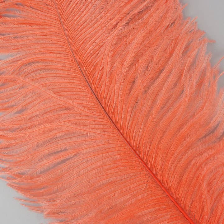 Grandes plumes d'autruche - Drabs de 17"+ - Orange vif pour la vente par Zucker Feather Products