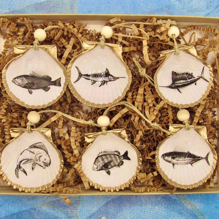 Fish Mini Shell 6 pk for wholesale by DogFish Design 13