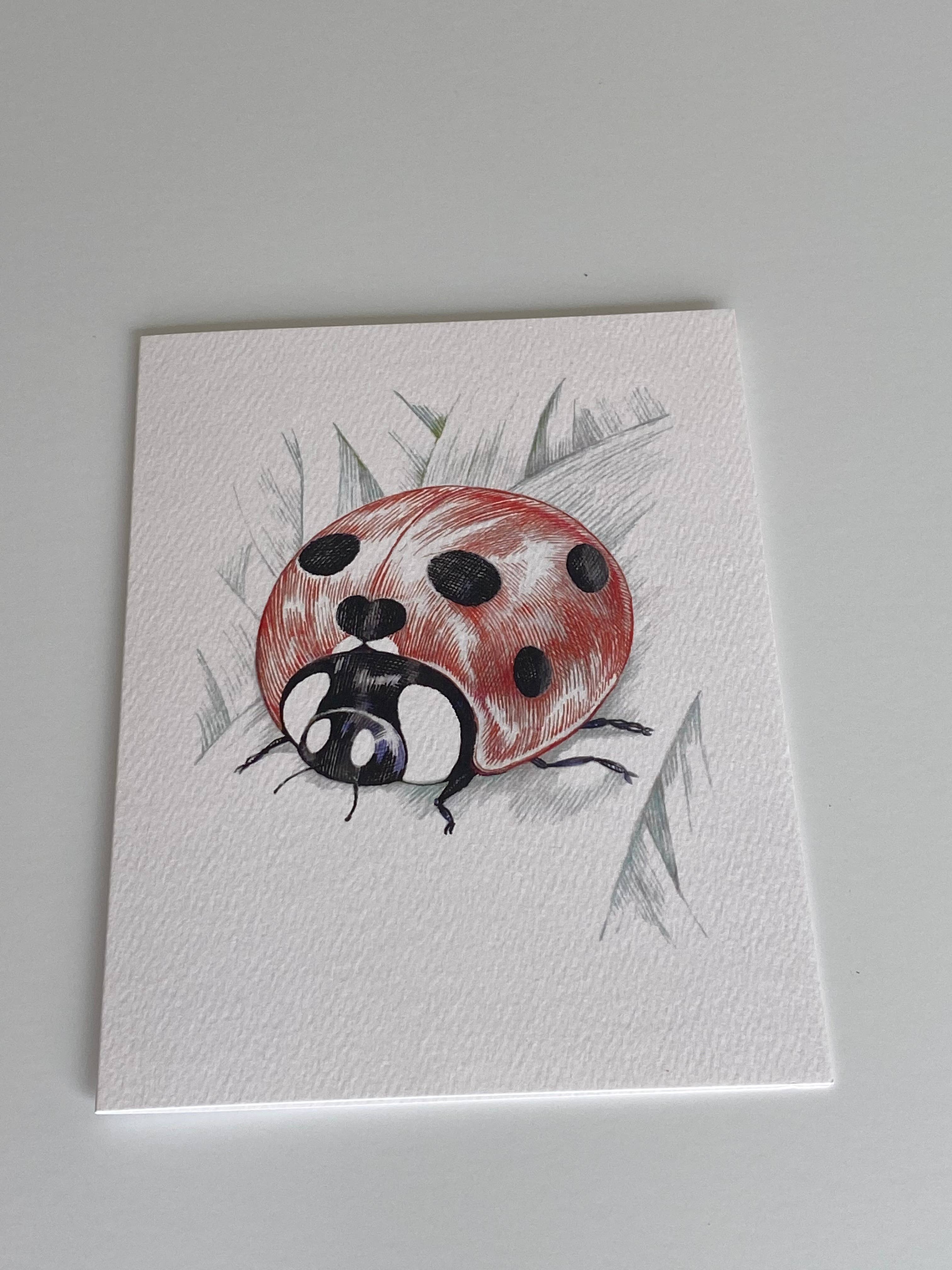 REMOVED BRAND - Wholesale Friendship Card - Lady Bug Hearts - Friendship Card4