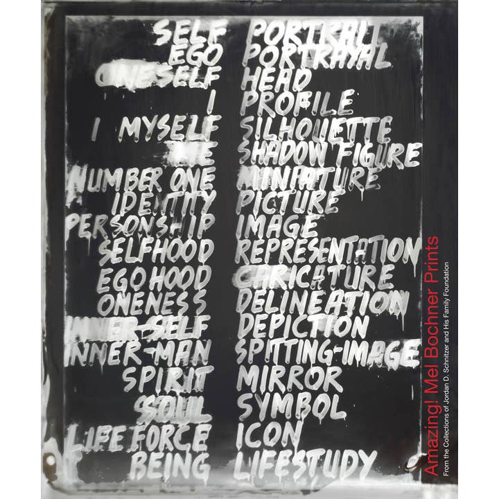 ARTBOOK | D.A.P. - Wholesale Arts & Entertainment - Amazing! Mel Bochner Prints