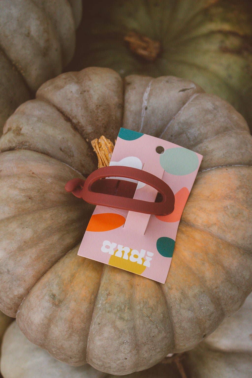 Shop Andi - Wholesale Hair Clip - Women's - Cutout Ponytail Cuff1