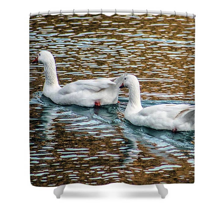 HET DOUCHEGORDIJN MET GANZEN voor wholesale door sorayadapuzzostore