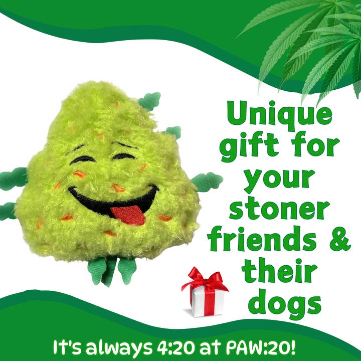 PAW:20 - Wholesale Pet Plush Toy - Dog - Bud the Weed Nug, Parody Plush Squeaker Dog Toy 4