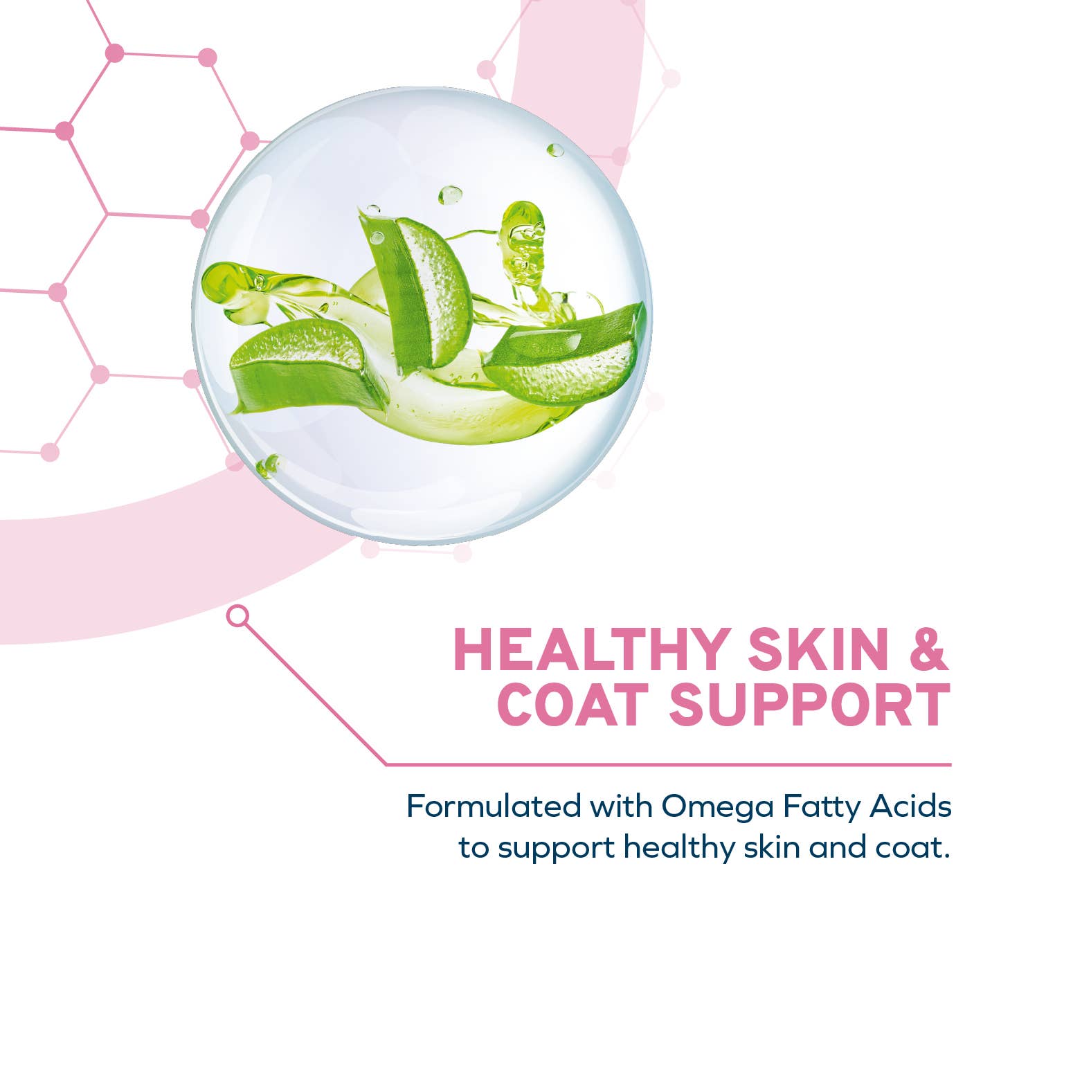 Forza10 Pet Food - Wholesale Pet Food - Dog - FORZA10 DAILYPRO MAINTENANCE MEDIUM BREED GRAIN-FREE5