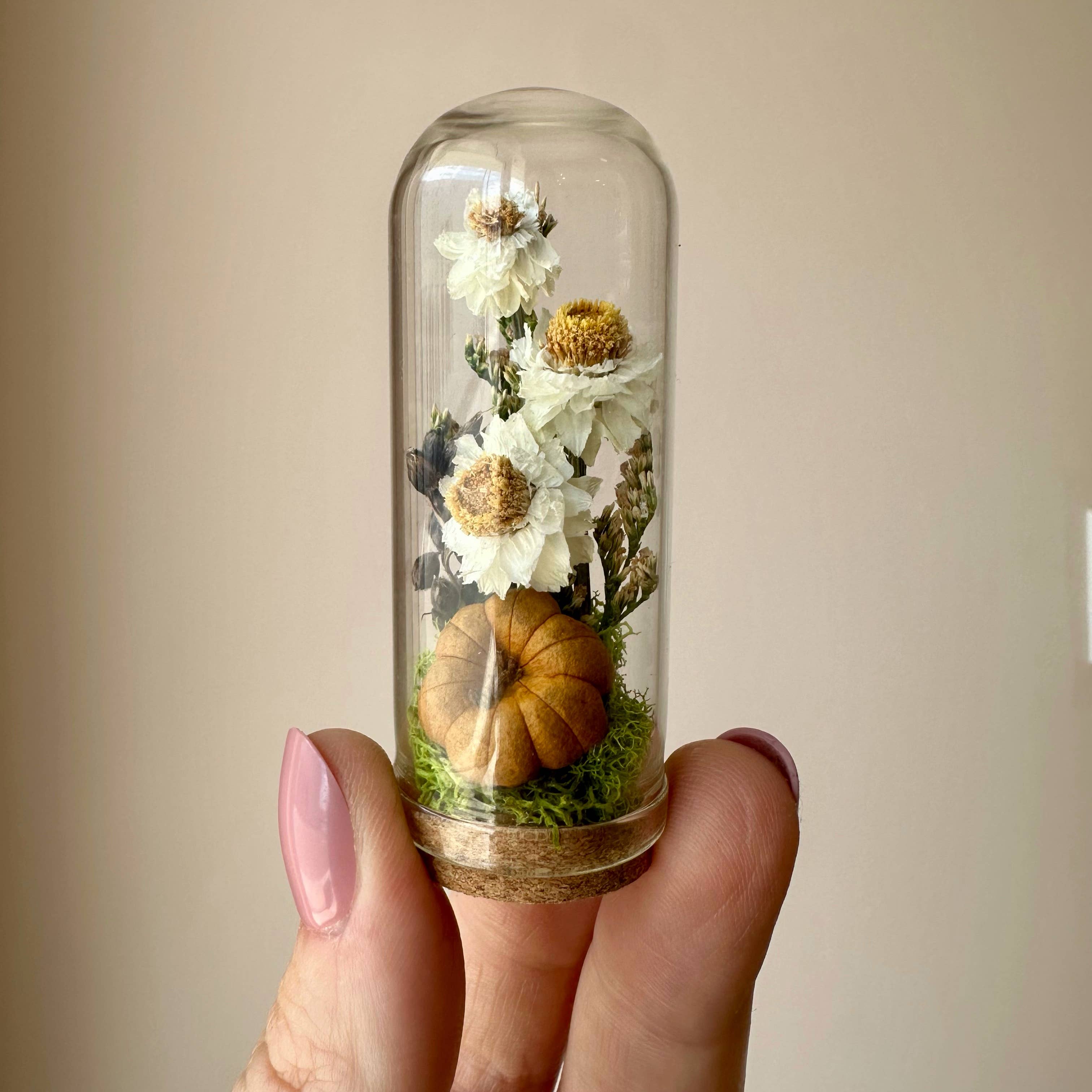 CA Studios - Wholesale Terrarium - Pumpkin Mix Mini Terrarium Potion Jar w Dried Florals1