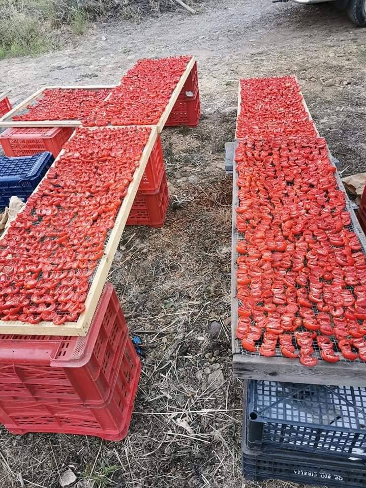 Azienda Cutrera - Wholesale Dried spice - Sun-dried tomatoes1