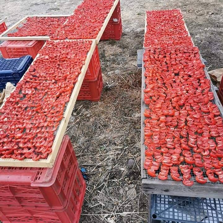 Azienda Cutrera - Wholesale Dried spice - Sun-dried tomatoes1
