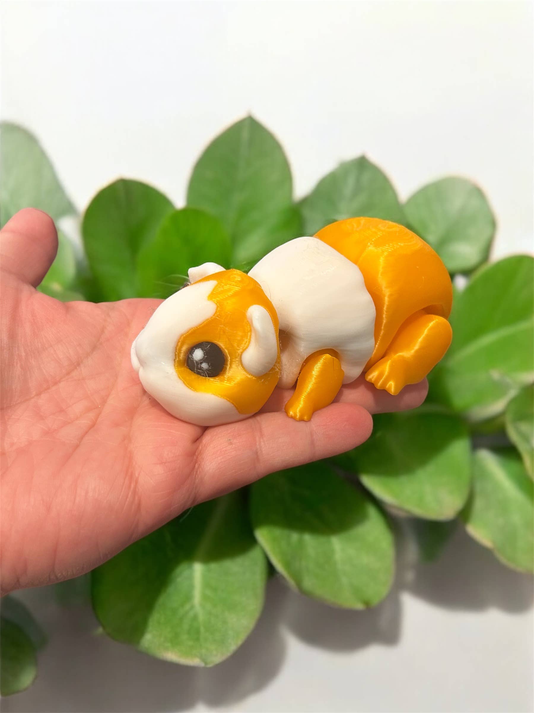 3D in Paradise - Vente Fidget/jouet anti-stress – enfant - Cochon d'Inde Fidget grande taille5