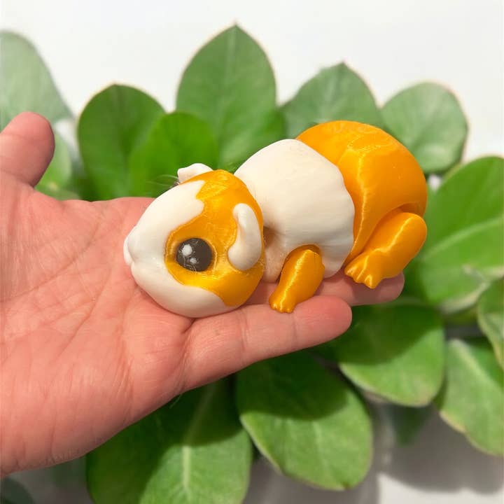 3D in Paradise - Vente Fidget/jouet anti-stress – enfant - Cochon d'Inde Fidget grande taille5