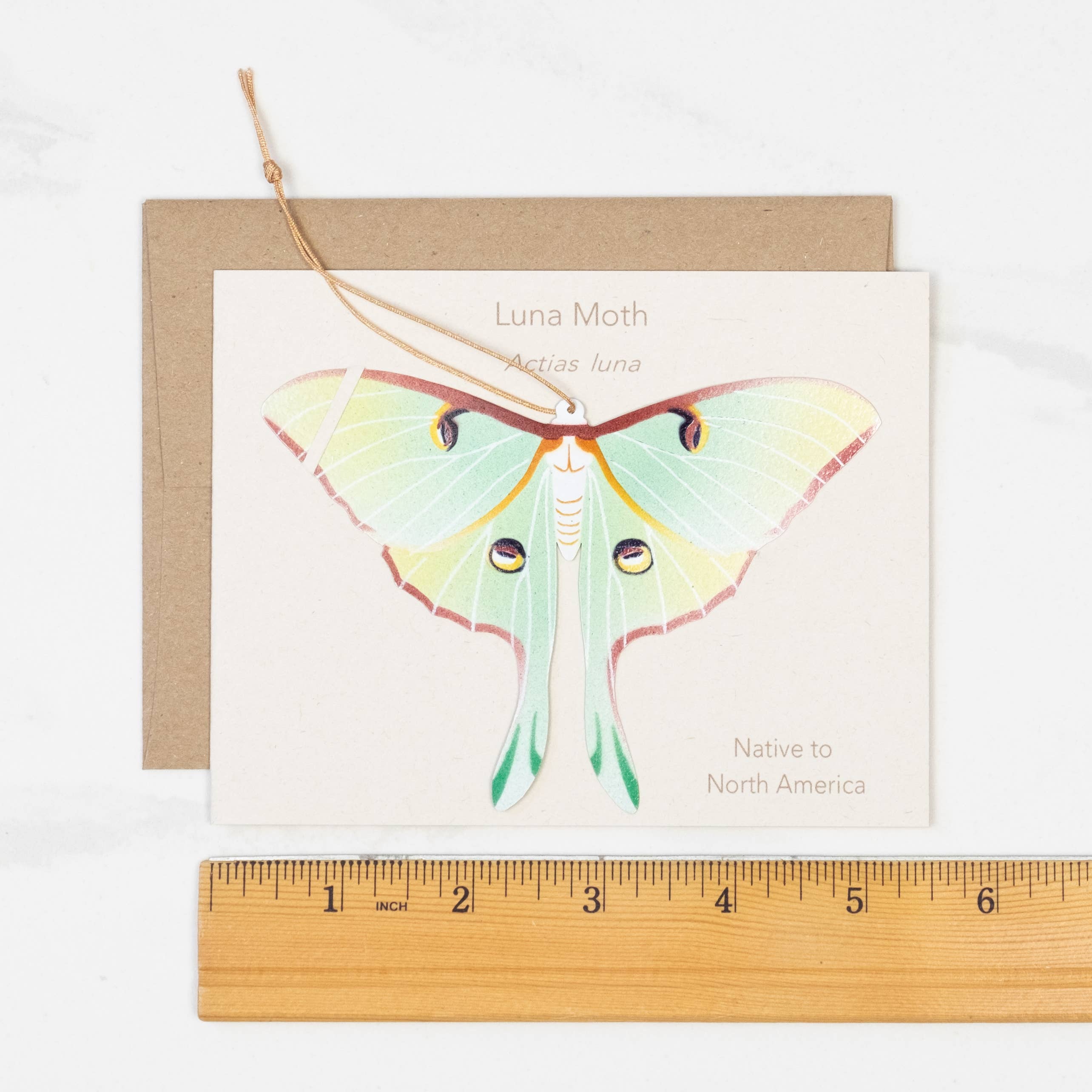 Tulia's Artisan Gallery - Wholesale Ornament - Luna Moth Ornament + Notecard4