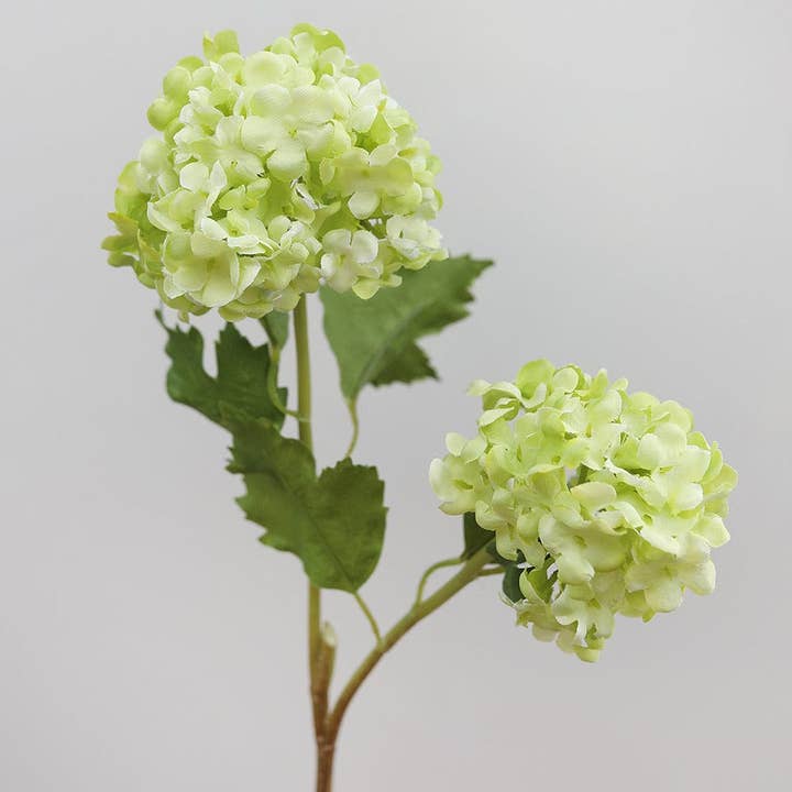 Prestige Botanicals - Wholesale Artificial flowers - Artificial Green Snowball 21.5"2