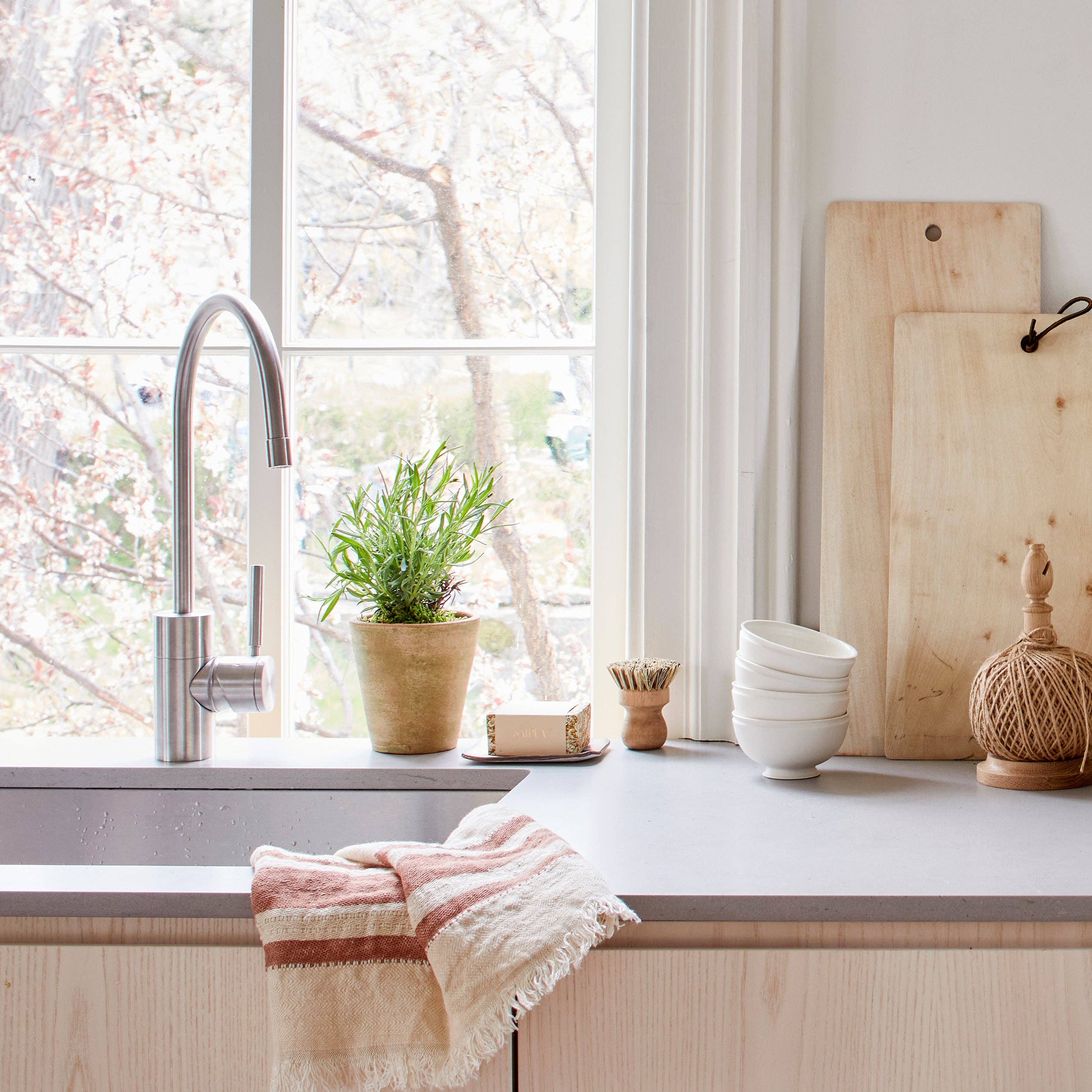 Bloomist - Vendita all'ingrosso Vasi per piante - Vaso Studio con Lavaggio Verde7