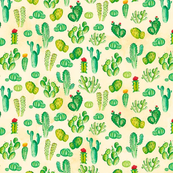 “Cacti” themed photo board, 49.5 X 68 cm for wholesale by URSUS® / Buntpapierfabrik Ludwig Bähr GmbH & Co. KG