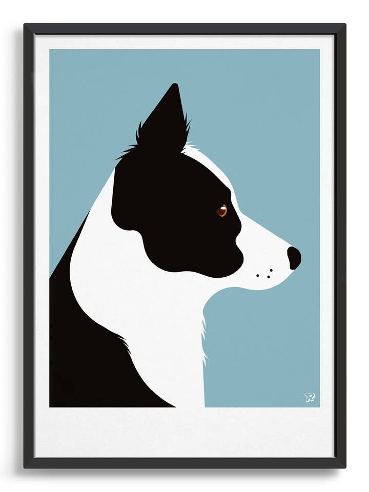 Cão art print - Border collie por atacado de Rocket Jack