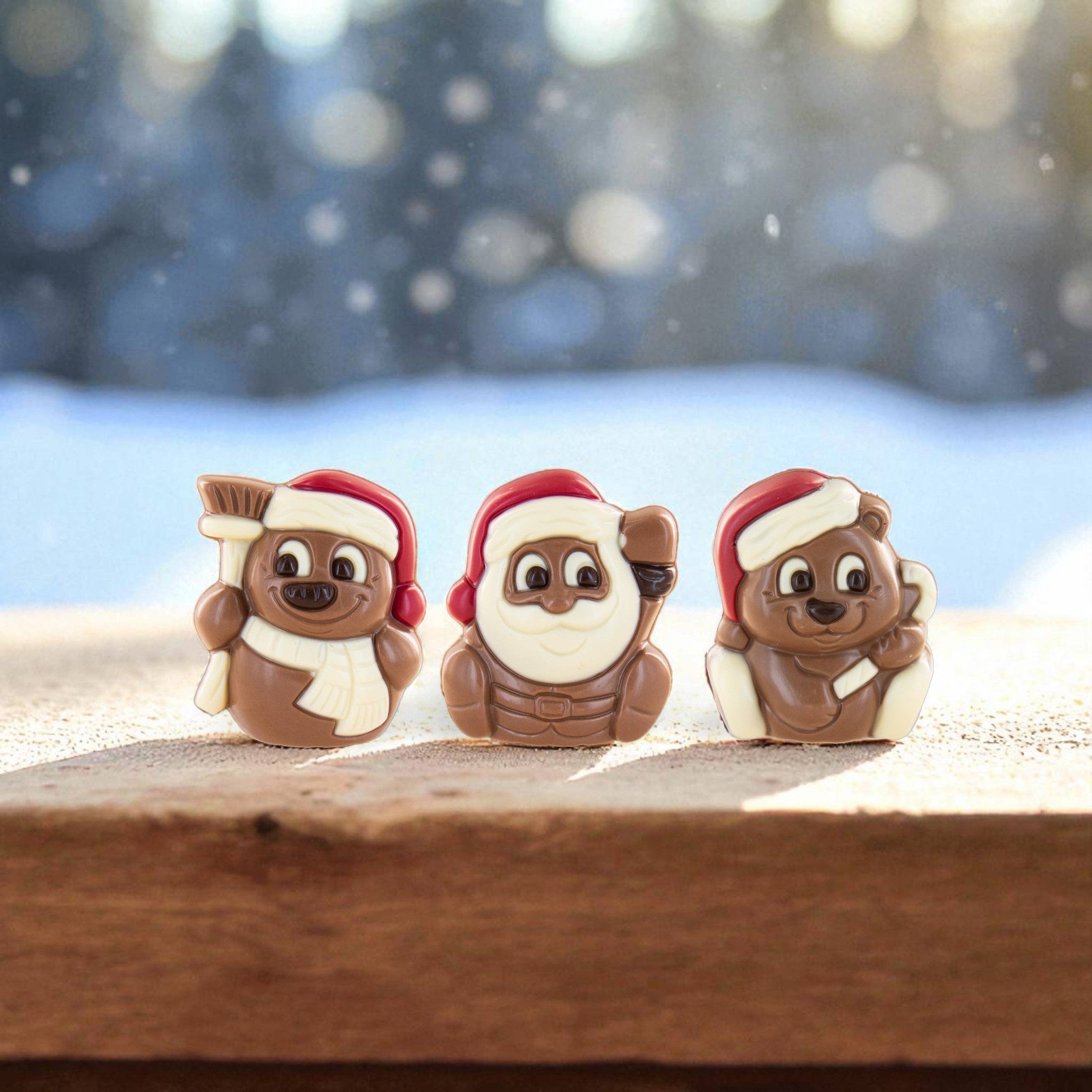 ADG Diffusion - Wholesale Chocolate - BEAR, SANTA CLAUS, AND SNOWMAN MOLD 25g - 24 molds1