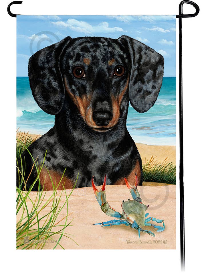 Dachshund Shorthair Dapple Choc & Tan Summer Beach Gard er et... for engroshandel hos Pet Gifts USA, LLC