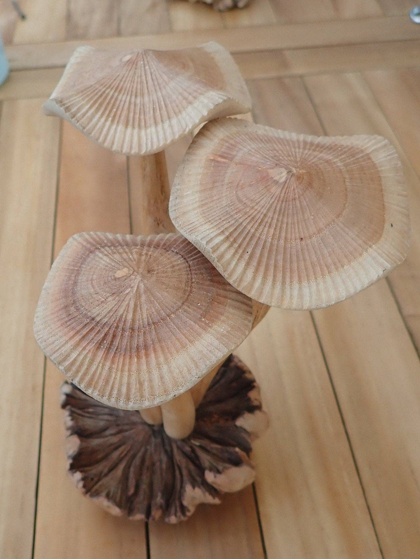 Ubud Glass – wholesale Decorative figurine – Wooden hand carved mushroom. Unique hand carved toadstool figurine1