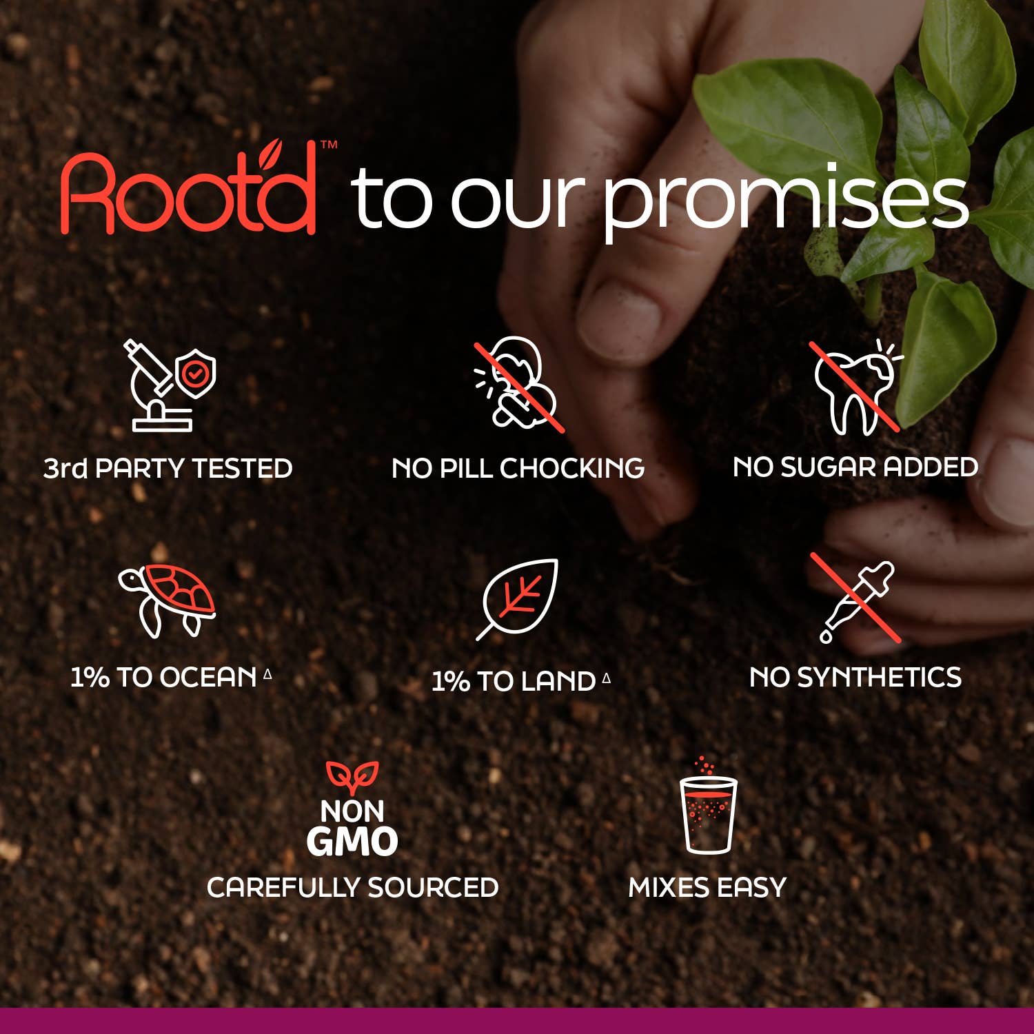 Root'd – Engroshandel Pulver til sunhedsdrik – Root’d Her MULTI Hydrating Kvinders Multivitamin Stick Packs10