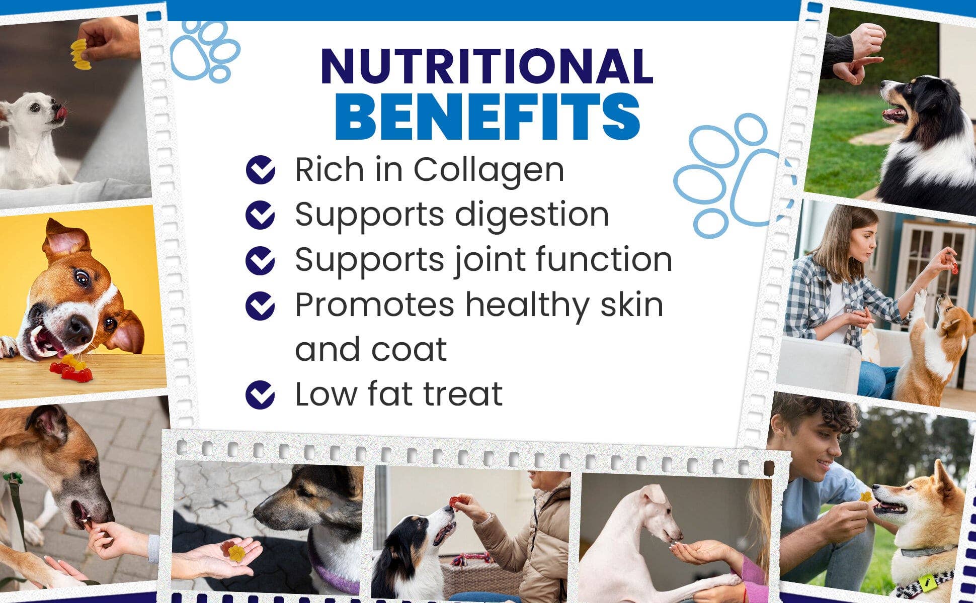 SodaPup Dog Toys - Wholesale Chocolate/Candy Mold - Dogtastic Jelly Shots Silicone Mold - Bone Shape5