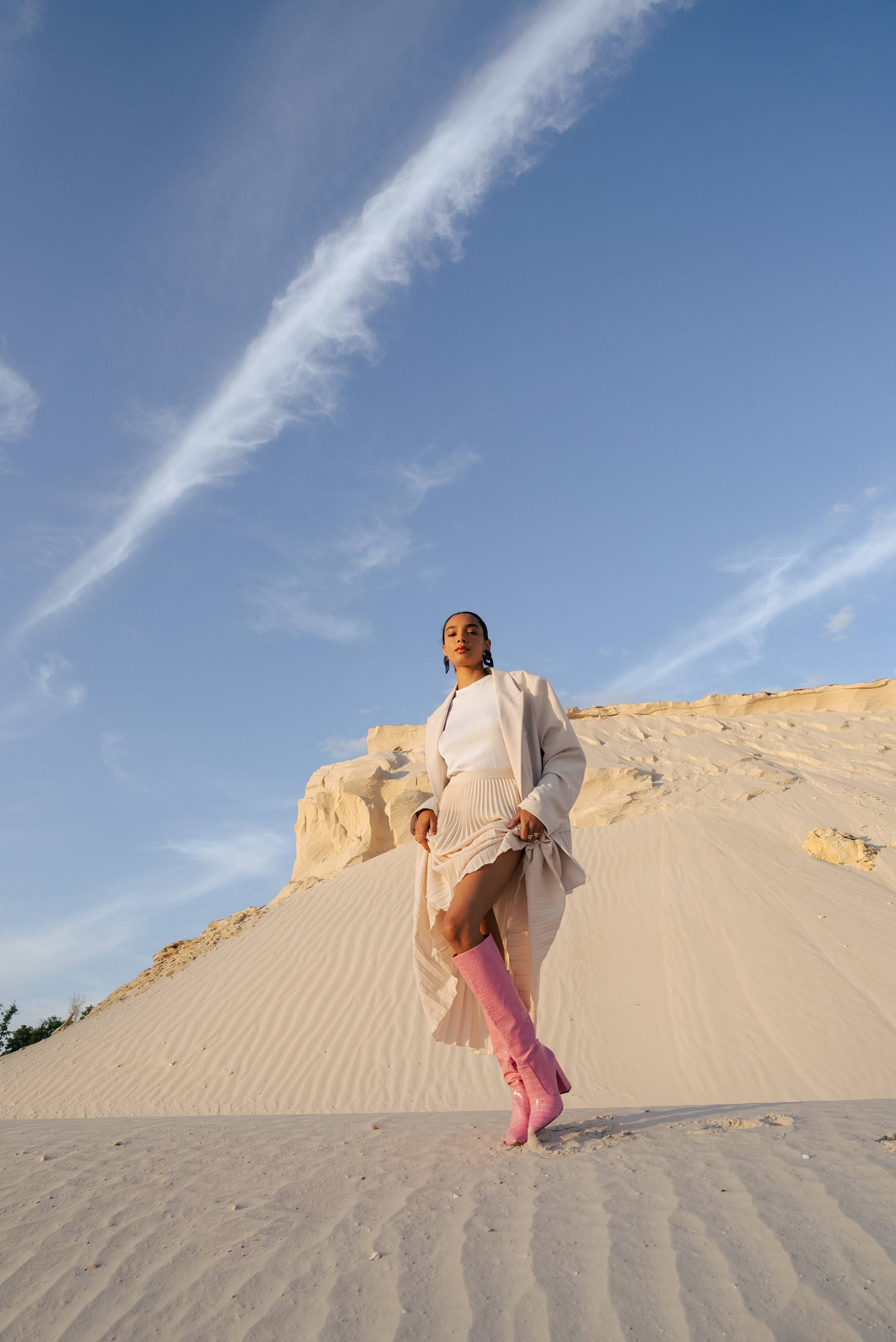 Stephan Paris - Wholesale Boots - Women's - C-132b crocodile pattern pointed boots29