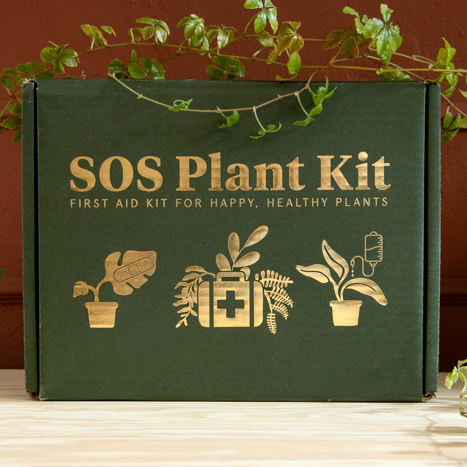 Botanopia - gifts , decor and cards for plant lovers – Großhandel Gartenwerkzeug – SOS Pflanzenset – Rettung kranker Pflanzen Blatt für Blatt3