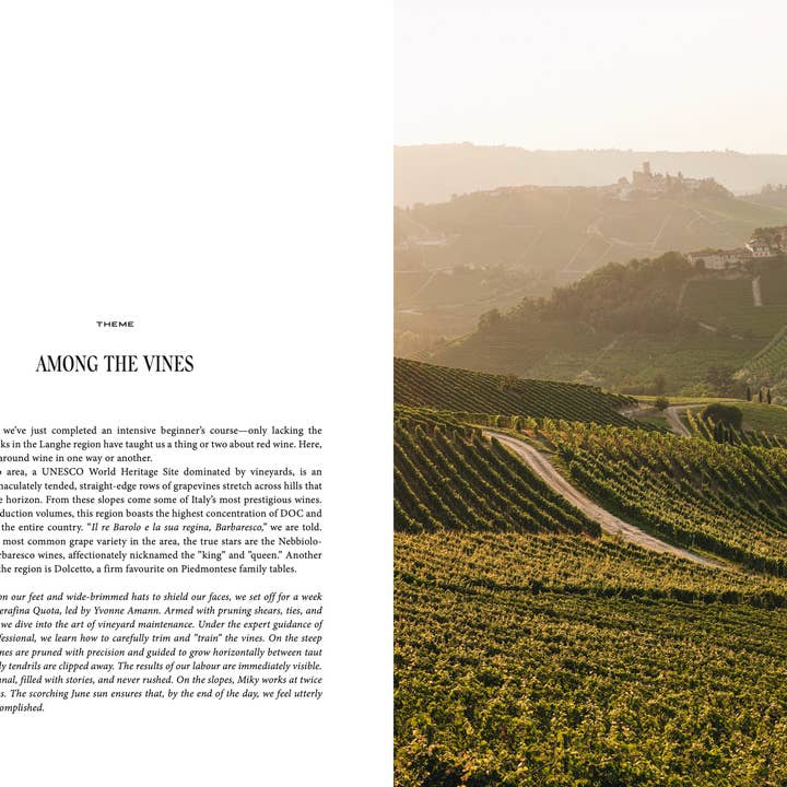 Cozy Publishing - Wholesale Book - Adult - Travel Guide: Somewhere in Italy