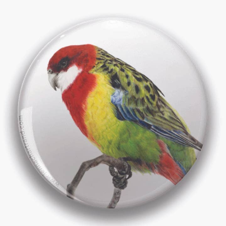 "Chromatic Indifference" Eastern Rosella 44mm Round Magnet for wholesale by Jenna Chartrand Coloured Pencil Fine Artist