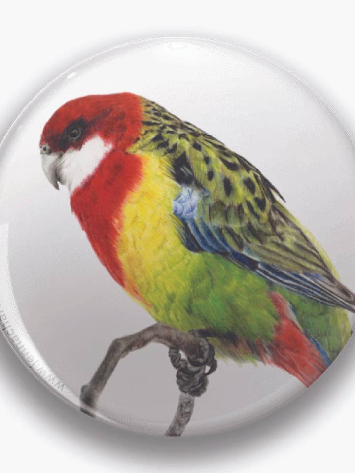 "Chromatic Indifference" Eastern Rosella 44mm Round Magnet for wholesale by Jenna Chartrand Coloured Pencil Fine Artist