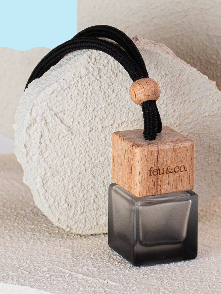 Diffuseur de Voiture - Air Glacial pour la vente par Feu&Co.