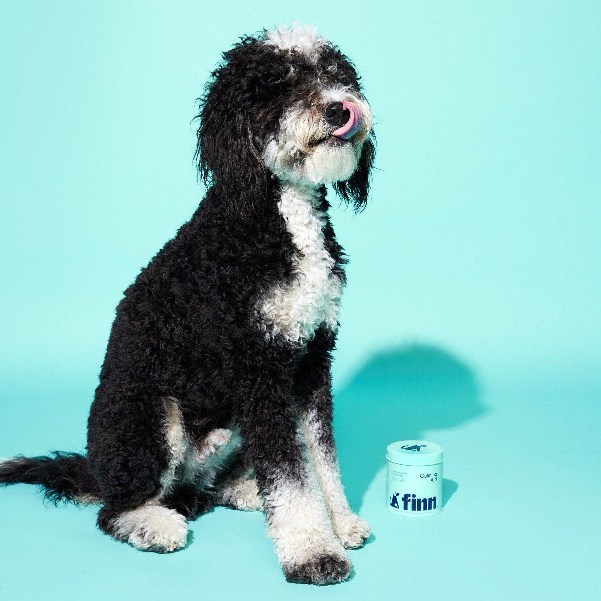 Finn - Wholesale Pet Supplement - Dog - Comfy Pup Bundle (OG)10