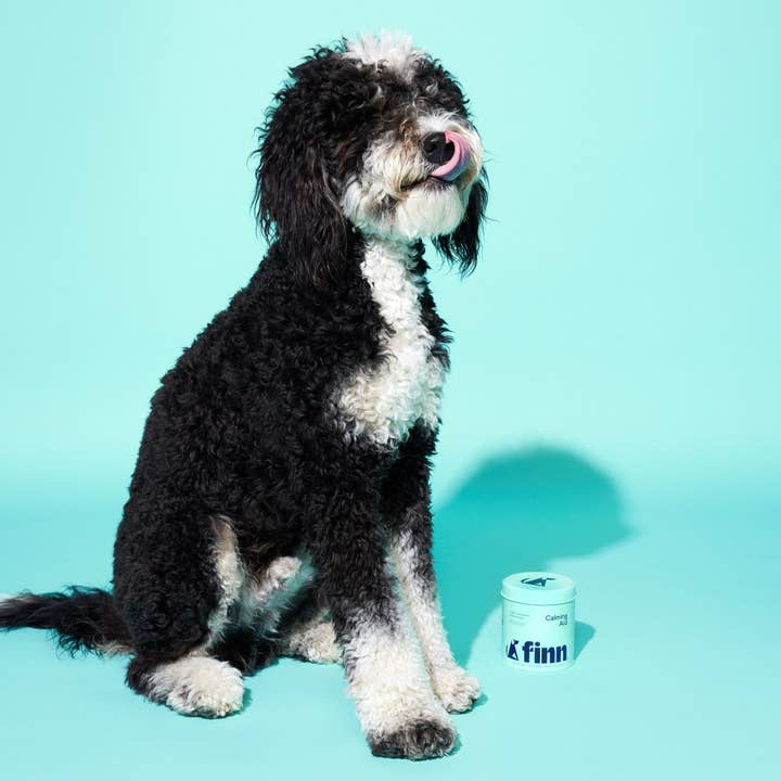 Finn - Wholesale Pet Supplement - Dog - Comfy Pup Bundle (OG)10