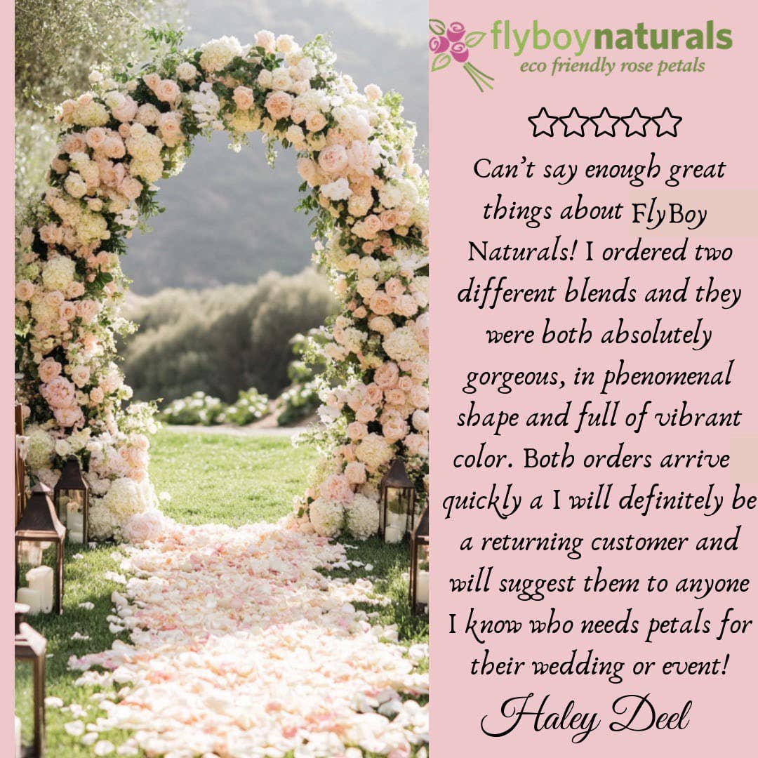 Flyboy Naturals Rose Petals - Wholesale Dried/pressed flowers - Bridal White/Ivory Freeze-Dried Rose Petals 30 Cups USA15