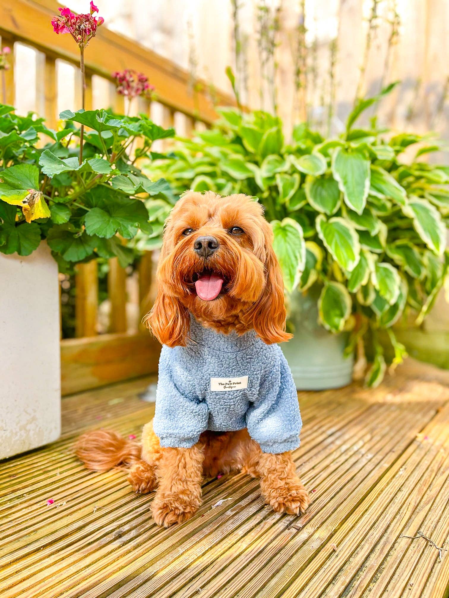 The Paw Print Boutique – wholesale Pet jumper – Dog – Teddy Fleece - Dusky Blue6