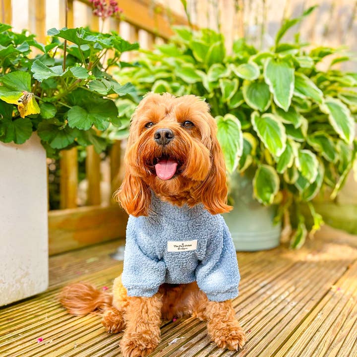 The Paw Print Boutique – wholesale Pet jumper – Dog – Teddy Fleece - Dusky Blue6
