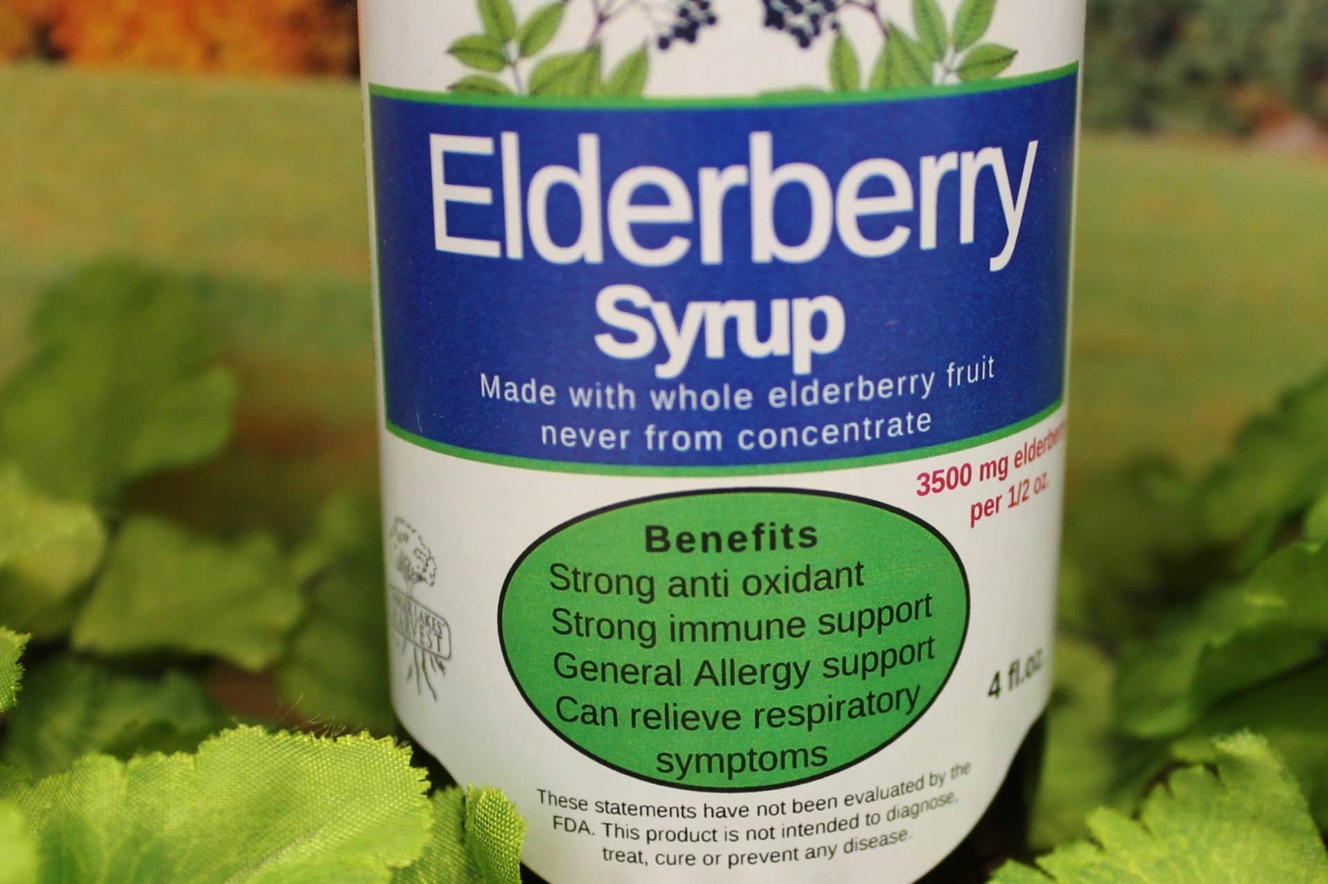 Finger Lakes Harvest - Wholesale Oral Supplement/Vitamin - Elderberry Syrup1