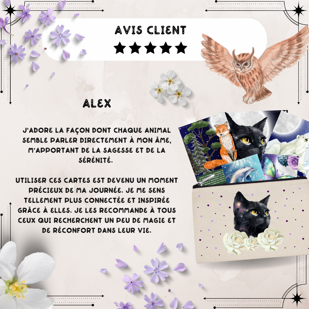Les Moonettes - Venta al por mayor Cartas del tarot - Cartas de Afirmaciones Positivas Animales de Luz (32 cartas)10